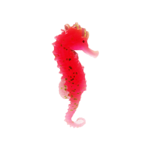 Imitación caliente juguete de silicona acuario de <span class=keywords><strong>coral</strong></span> para <span class=keywords><strong>el</strong></span> tanque - Product Image 1