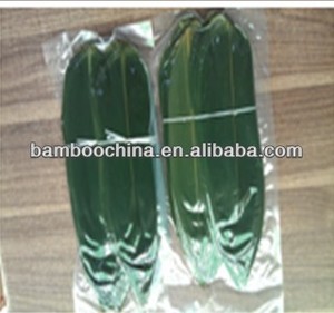 Foglie <span class=keywords><strong>di</strong></span> Bambù Fresche Verdi Confezionate Sottovuoto Foglie <span class=keywords><strong>di</strong></span> Bambù per Sushi - Product Image 3