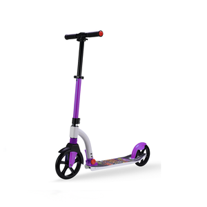 Pliable <span class=keywords><strong>2</strong></span> <span class=keywords><strong>roues</strong></span> <span class=keywords><strong>100</strong></span>% en aluminium trottinette <span class=keywords><strong>pour</strong></span> adultes avec 100mmm grand PU <span class=keywords><strong>roues</strong></span> - Product Image 1