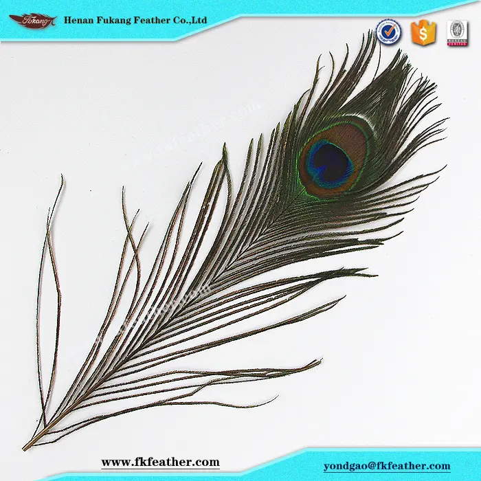 Natural Artificial de plumas de pavo real para máscara Decoración