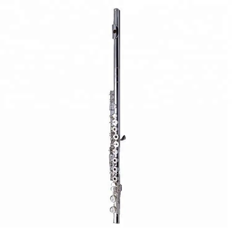 लोकप्रिय बांसुरी HFL-506