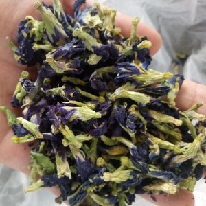 Kordofan-guisante mariposa azul para té saborizado, venta al por mayor, Tailandia - Product Image 4