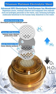 Bouteille d'eau avec générateur d'hydrogène à cellules 7.6 v Quantum, Anti-âge, beauté, amélioration de l'intelligence, élimination des rouge - Product Image 3