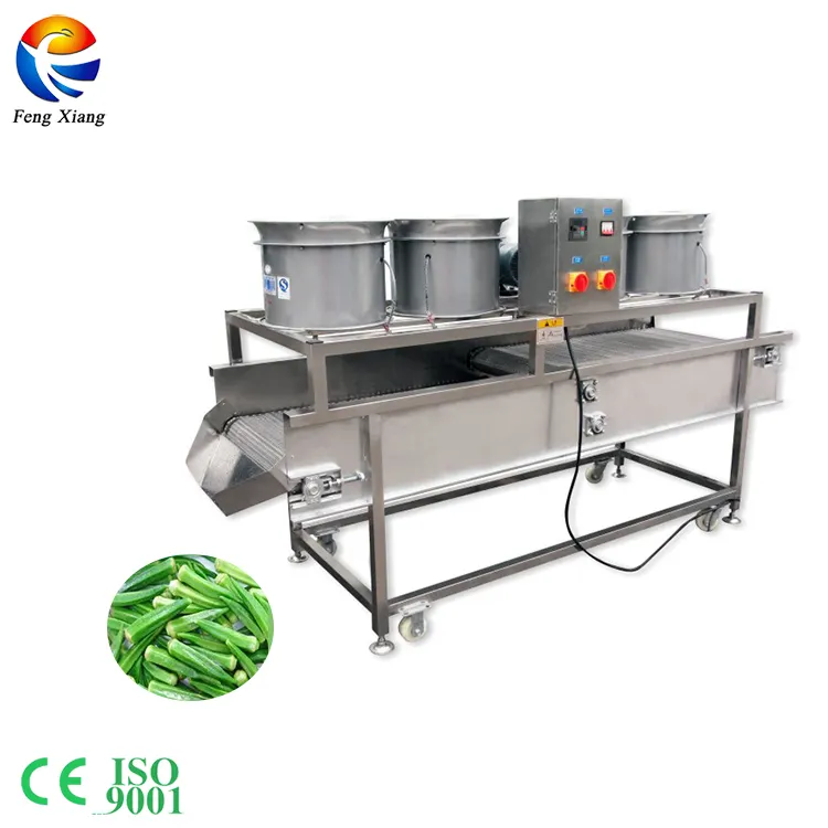 Linha de produção de processamento de secagem de frutas e vegetais/frutas máquina de secagem tipo de sopro
