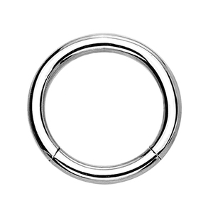 Senza soluzione di continuità Segmento Clicker Incernierato Anello Del Cerchio Dell'orecchio del Labbro Setto Piercing - Product Image 1
