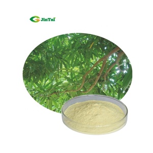 مصنع توريد مستخلص أوراق المانجو <span class=keywords><strong>Mangiferin</strong></span> - Product Image 1