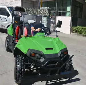 Adulti e bambini 2 sedili 4 ruota buggy, dune di sabbia della spiaggia buggy 150/200CC CVT avviamento elettrico go cart per la vendita