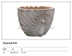 Special <b>Peacock</b> Terracotta Pots - Product Image 1