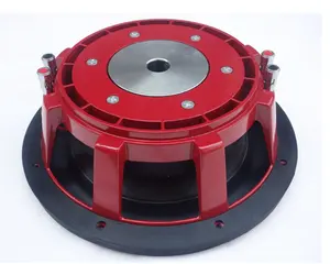 Altoparlante subwoofer da 12 pollici ad alto livello da 12 pollici a doppia bobina a doppia voce