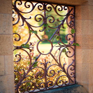 Reja de Ventana Fija de Acero Galvanizado de Estilo Europeo Simple, Diseño de Hierro Forjado - Product Image 5