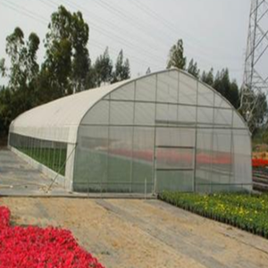 Nhà Kính Đường Hầm Gothic - Product Image 1