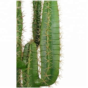 Plante du <span class=keywords><strong>d</strong></span>ésert Areg 76cm Imitation cactus <span class=keywords><strong>D</strong></span>écoration avec faux cactus <span class=keywords><strong>D</strong></span>écoration de bureau - Product Image 2