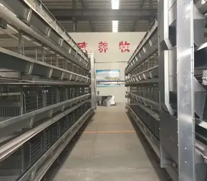 Poultry farm hens breeding laying cages equipment system price egg chicken automatic broiler battery chicken layer cage for sale