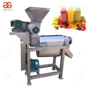 Machine d'extraction de jus à l'aloe Vera, extracteur de jus de gingembre, v
