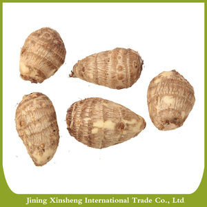 Cina migliore <span class=keywords><strong>taro</strong></span> fresco per il mercato internazionale - Product Image 1