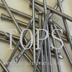 <span class=keywords><strong>punto</strong></span> de clavos parís / clavo de hierro / clavo madera - Product Image 1