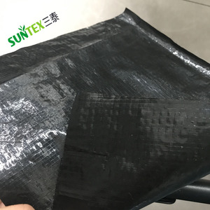 Nhà Máy Giá không thấm nước Pond Liner Bạt/tôm Pond geomembrane/dam lót trong Kenya - Product Image 2