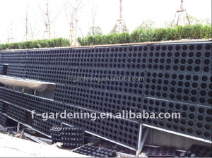 Jardineras de sistema de <span class=keywords><strong>pared</strong></span> verdes para jardín Vertical decorativas para exteriores, macetero de <span class=keywords><strong>pared</strong></span> verde Vertical, macetero Greenwall - Product Image 6
