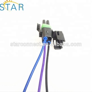 Injektor Bahan Bakar Diesel Otomotif Kabel Harness Rel Bahan Bakar dengan 2 Pin Konektor Tahan Air Otomatis 10811963 - Product Image 4