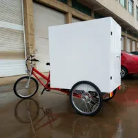 Bicicleta de carga triciclo para adultos, bicicleta de carga elétrica