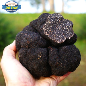 Detan Negro <span class=keywords><strong>salvaje</strong></span> tubérculo unicinatum trufas negro - Product Image 1