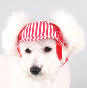 Sombrero de béisbol transpirable para mascotas, gorra de béisbol para <span class=keywords><strong>perro</strong></span>, a prueba de sol, venta al por mayor - Product Image 4