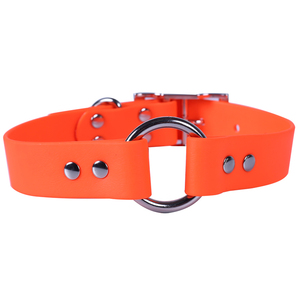 <span class=keywords><strong>Collar</strong></span> de piel auténtica para perro, accesorio de alta calidad, personalizado, colores, suave, acolchado, resistente al agua, clásico, Vegano - Product Image 3