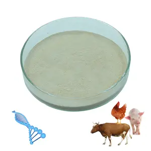 Animal feed additive yeast cell wall extract toxin binder