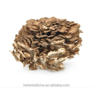 Thé aux champignons Maitake séchés entiers naturels, nourriture comestible, Grifola Frondosa, champignon sauvage pour la nourriture - Product Image 1