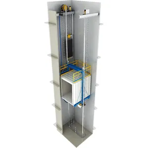 Chinese High Quality Food Elevator With Good Price