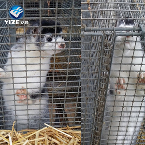 Di alta Qualità professionale della fabbrica degli animali di allevamento gabbia di visone - Product Image 4