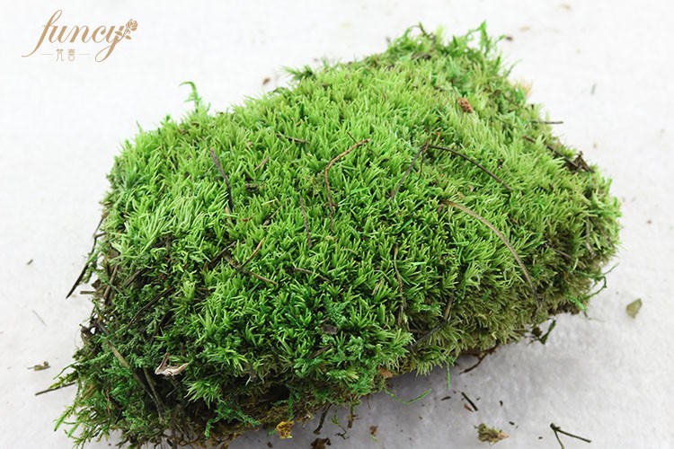 Verde naturale