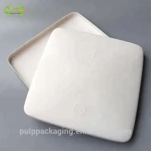 Customized Biodegradable Sugarcane Fiber Molded Pulp Packaging Box