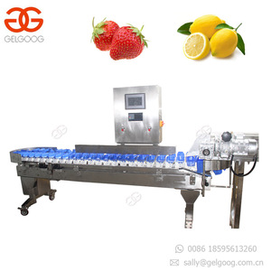 Machine professionnelle de calibrage automatique, convoyeur pour la viande, les cerises - Product Image 6
