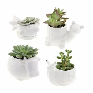 Set of 4 - White Ceramic Animal Planter Pots - Snail, Turtle, Cow and Fish