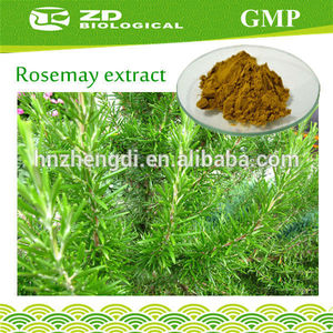 extracto de romero <span class=keywords><strong>rosmarinus</strong></span> <span class=keywords><strong>officinalis</strong></span> en extracto de hierbas de crecimiento del pelo - Product Image 1