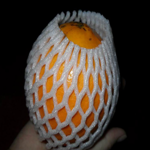 apple <strong>Fruit</strong> <strong>Foam</strong> Packaging <strong>Netting</strong> <strong>Machine</strong> - Product Image 2