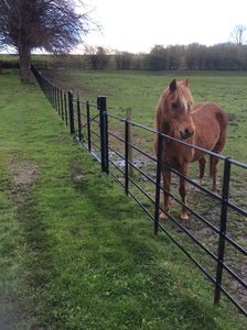 Hàng Rào Vườn Bằng Sắt Rèn Nặng <span class=keywords><strong>2</strong></span> Mét - Product Image 6