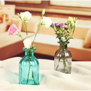 Günlük renkli Murano cam çiçek vazosu şeffaf cam vazo