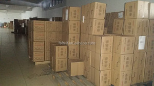 Máquina deshidratadora de frutas FRUTA industrial MARCA FD-770C para frutas verduras carne seca - Product Image 6