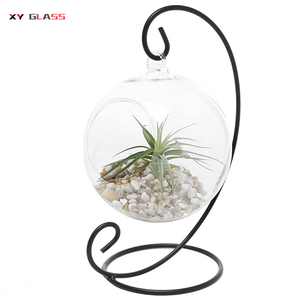 <span class=keywords><strong>Vase</strong></span> à fleurs de terrarium en <span class=keywords><strong>verre</strong></span> soufflé, <span class=keywords><strong>vase</strong></span> à fond <span class=keywords><strong>rond</strong></span>, bouche Offre Spéciale - Product Image 2