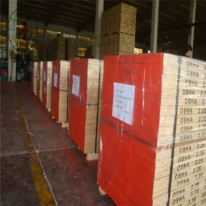 Madera contrachapada de álamo filipino lvl, madera lvl para construcción, tablones de andamio de madera, precio bajo