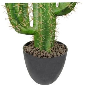 Plante du <span class=keywords><strong>d</strong></span>ésert Areg 76cm Imitation cactus <span class=keywords><strong>D</strong></span>écoration avec faux cactus <span class=keywords><strong>D</strong></span>écoration de bureau - Product Image 3