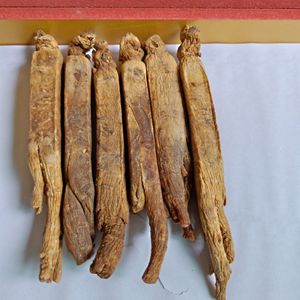 Indian Minuman Kesehatan Teh Hijau Ekstrak Akar Dengan Panax <span class=keywords><strong>Ginseng</strong></span> Korea Bubuk - Product Image 3