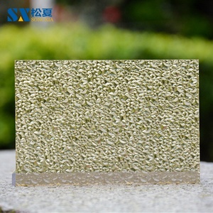 Dập nổi 10 MM Dày Rắn <span class=keywords><strong>Lexan</strong></span> Tấm Polycarbonate - Product Image 2
