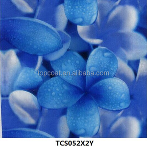 Pellicola per stampa a trasferimento termico in materiale PET per <span class=keywords><strong>EVA</strong></span> articolo no TCS046Y - Product Image 5