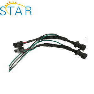Injektor Bahan Bakar Diesel Otomotif Kabel Harness Rel Bahan Bakar dengan <span class=keywords><strong>2</strong></span> Pin Konektor Tahan Air Otomatis 10811963 - Product Image 6