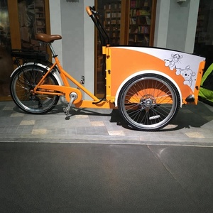Vélo électrique à 3 roues pour adulte, Tricycle danois 200-250W, pédales d'assistance, en cuir - Product Image 1