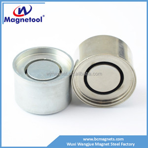 Nickel Tráng Loa Nam Châm Neodymium Từ Loa Động Cơ Lắp Ráp - Product Image 3