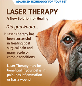 physical therapy device for dog/cat/horse/pet animal wounding